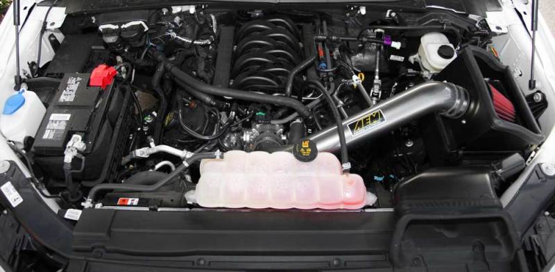 
                      
                        AEM 2015 Ford F-150 5.0L V8 Brute Force Cold Air Intake System
                      
                    