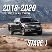 2018-2020 Ford F-150 3.5L Ecoboost Stage 1 Package