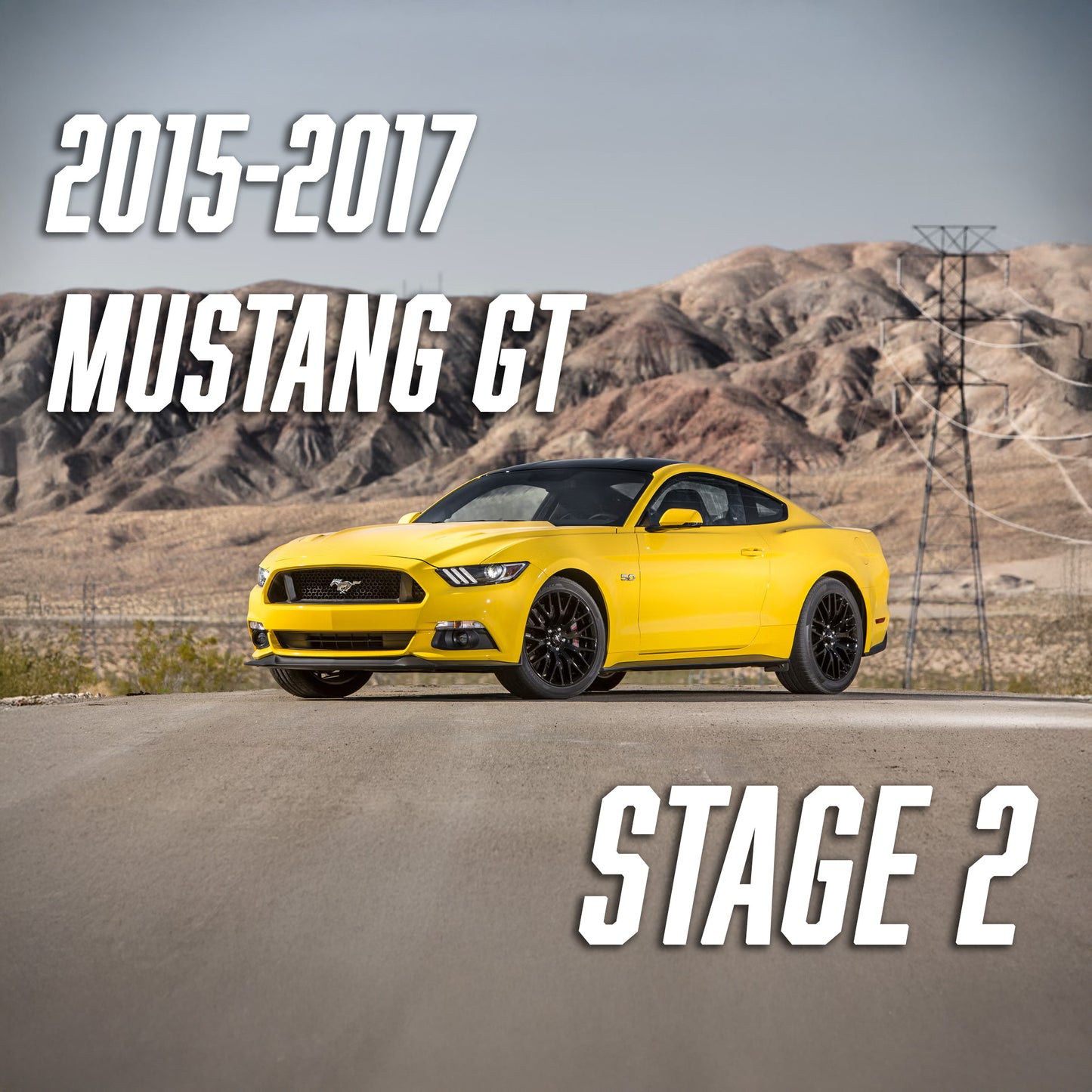2015-2017 Mustang GT Stage 2 Performance package