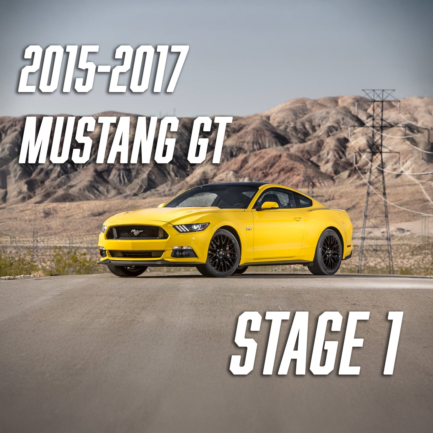 2015-2017 Mustang GT Stage 1 Performance package