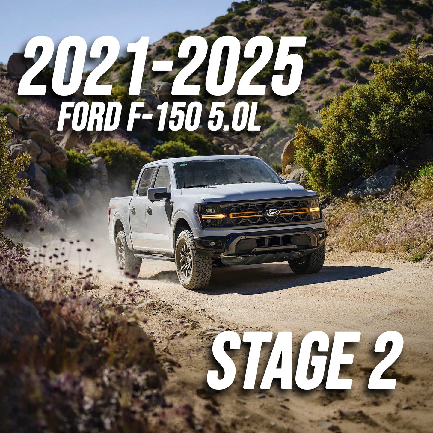 2021-2025 Ford F-150 5.0L Stage 2 Package