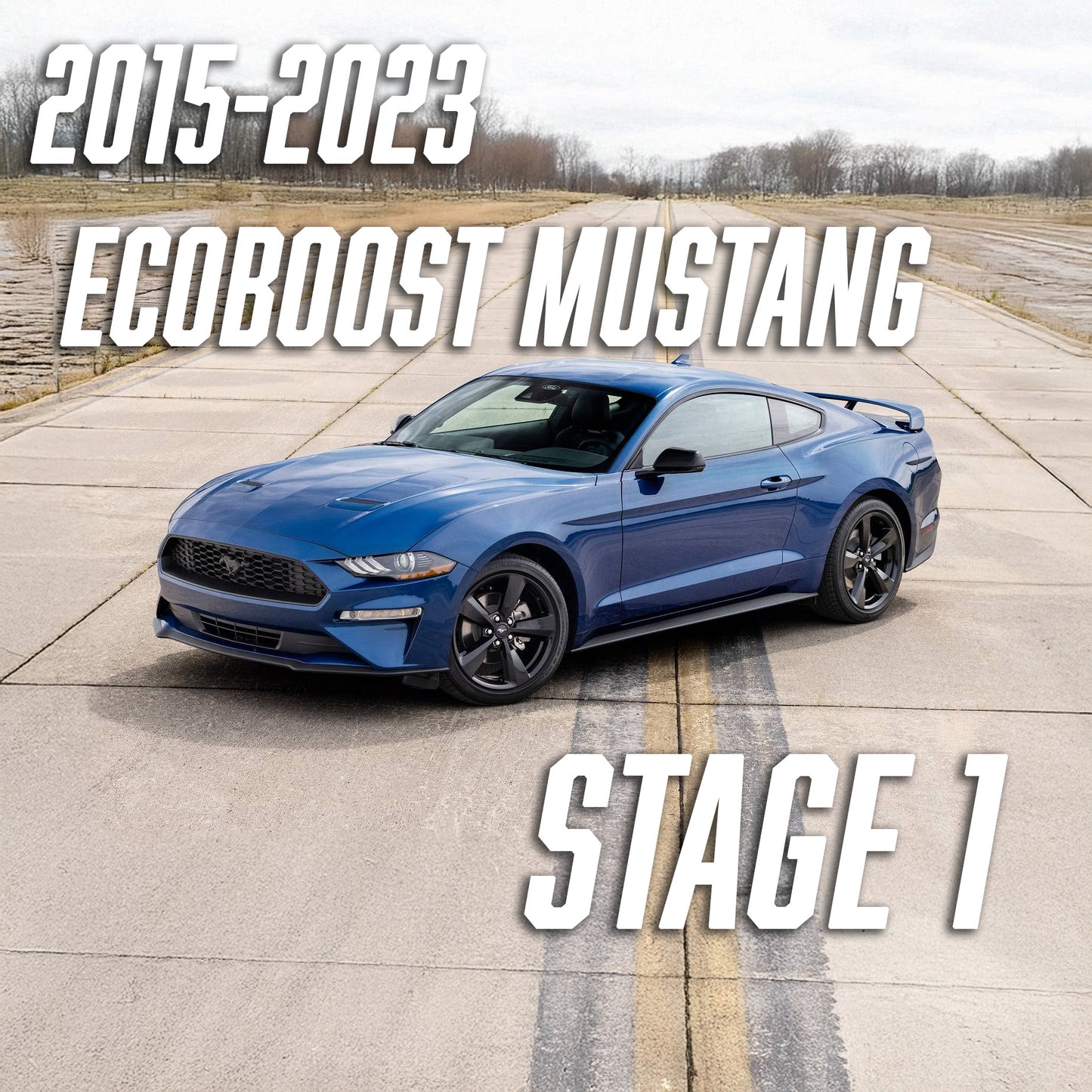 2015-2023 2.3L EcoBoost Mustang Stage 1