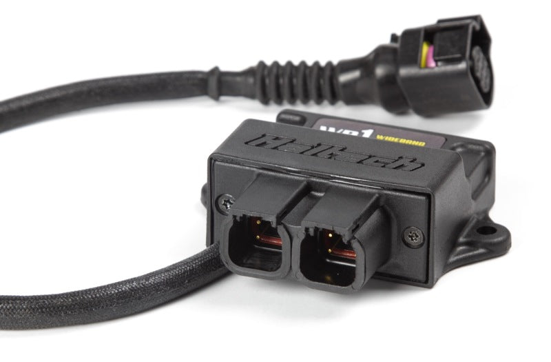 
                      
                        Haltech WB1 Single Channel CAN O2 Wideband Controller Kit
                      
                    
