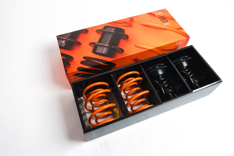 
                      
                        MSS 12-20 Audi A3 / S3 / RS3 Track Full Adjustable Kit
                      
                    