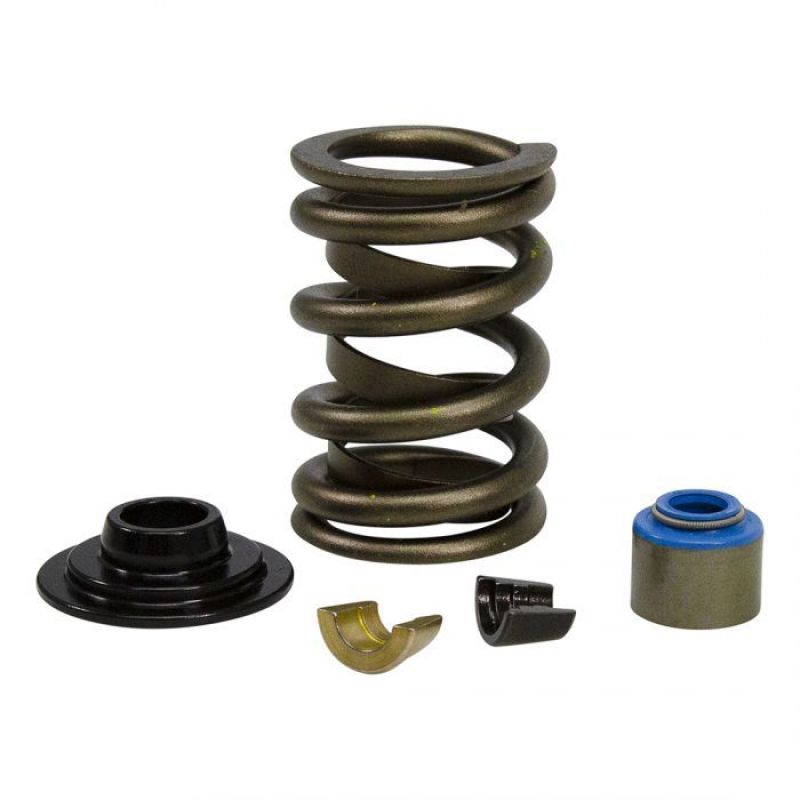 
                      
                        COMP Cams Ford GT40 / GT40P Cylinder Head Valve Spring Kit
                      
                    