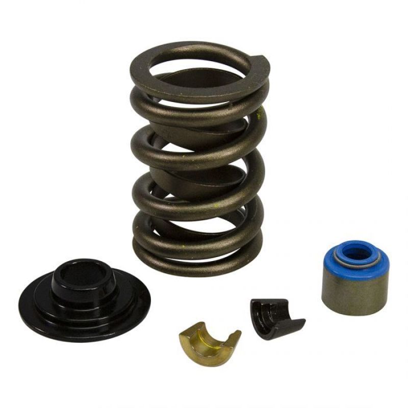 
                      
                        COMP Cams Ford GT40 / GT40P Cylinder Head Valve Spring Kit
                      
                    