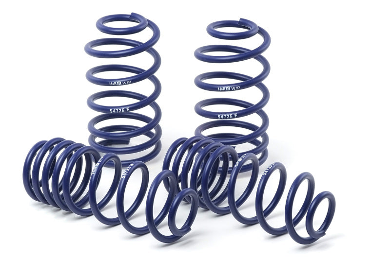 
                      
                        H&R 11-21 Dodge Charger SE/SXT/SXT Plus (2WD/4WD) Rallye/Plus/V6 Sport Spring
                      
                    