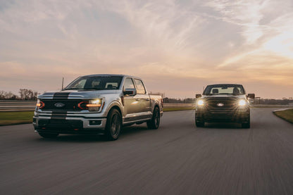 Ridetech 2015+ Ford F150 2WD and 4WD Rear Lowering Kit