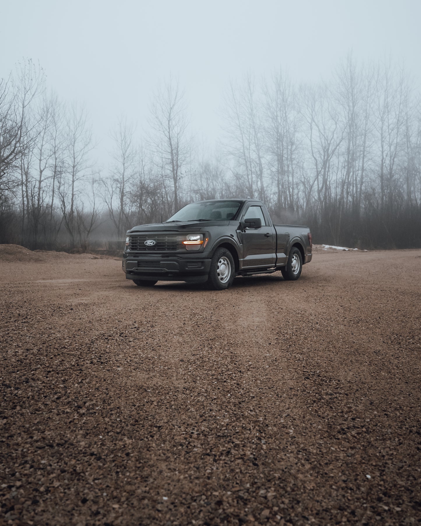 Ridetech 2015+ Ford F150 2WD and 4WD Rear Lowering Kit