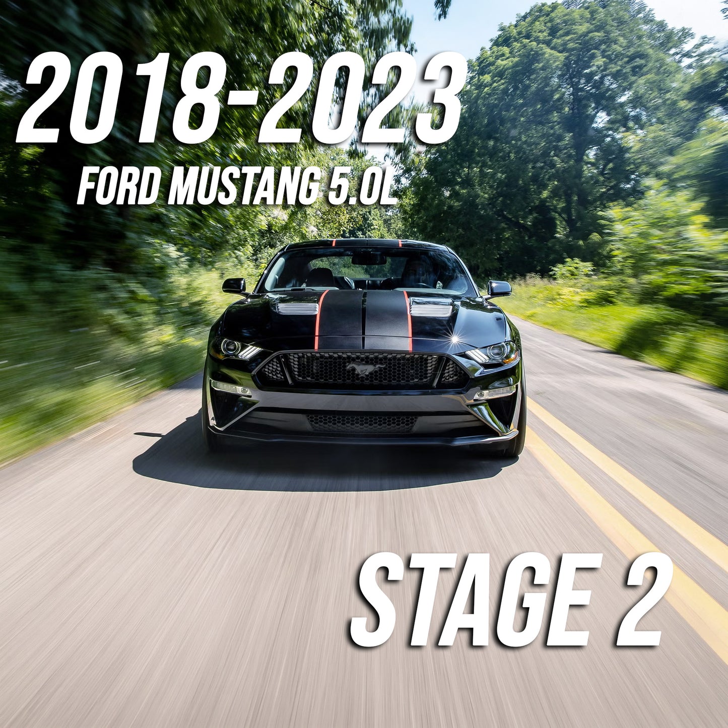2018-2023 Mustang GT 5.0L Stage 2 Package