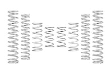 Eibach Can-Am Maverick R X RS Ultimate PRO-UTV Stage 3 Spring System (Set of 8 Springs)