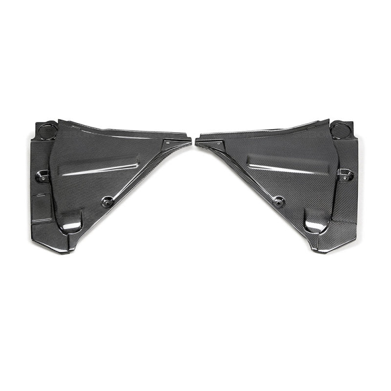 
                      
                        Seibon 09-10 Nissan GT-R R35 Carbon Fiber Cooling Plate
                      
                    