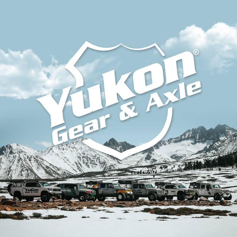 
                      
                        Yukon Gear Pinion install Kit For GM 8.2in Diff
                      
                    