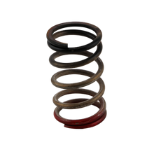 Turbosmart Gen-V WG40/45 HP 40 PSI Spring Upgrade - Black/Red