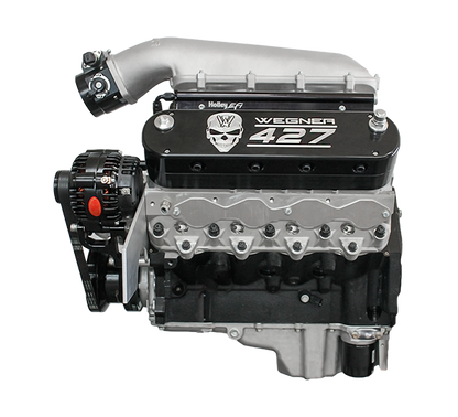 Wegner Automotive Hidden Coils Valve Covers - Rounded (LS)